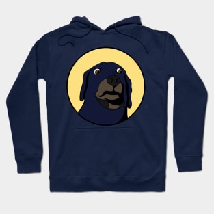 Funny Animal Graphic Design - Scared Dog Hoodie